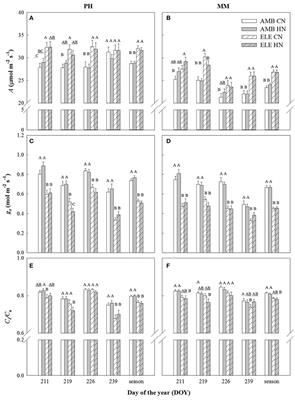 The Role of Sink Strength and Nitrogen Availability in the Down-Regulation of Photosynthetic Capacity in Field-Grown Nicotiana tabacum L. at Elevated CO2 Concentration